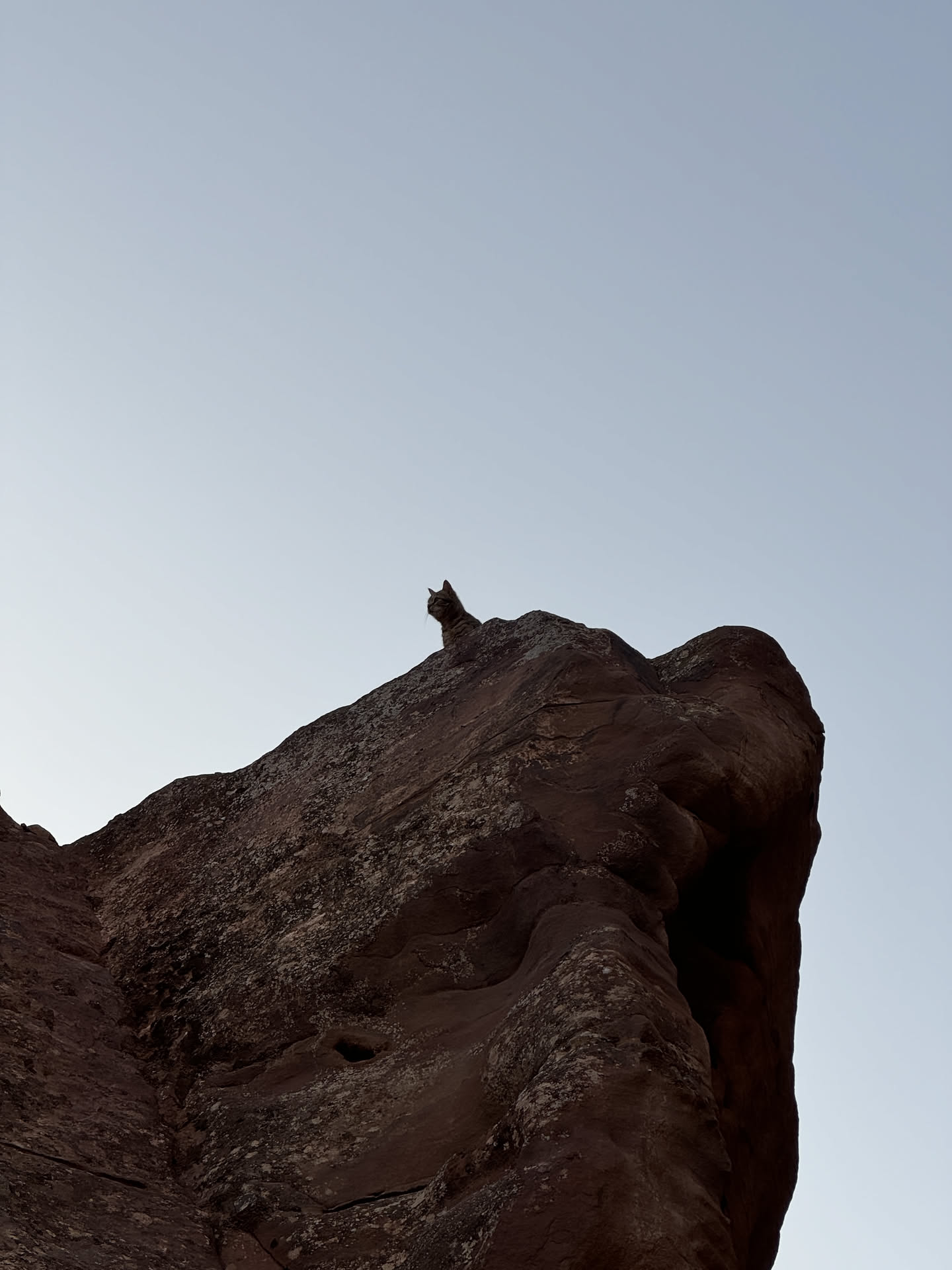 Jordan, photograph 4 of 11