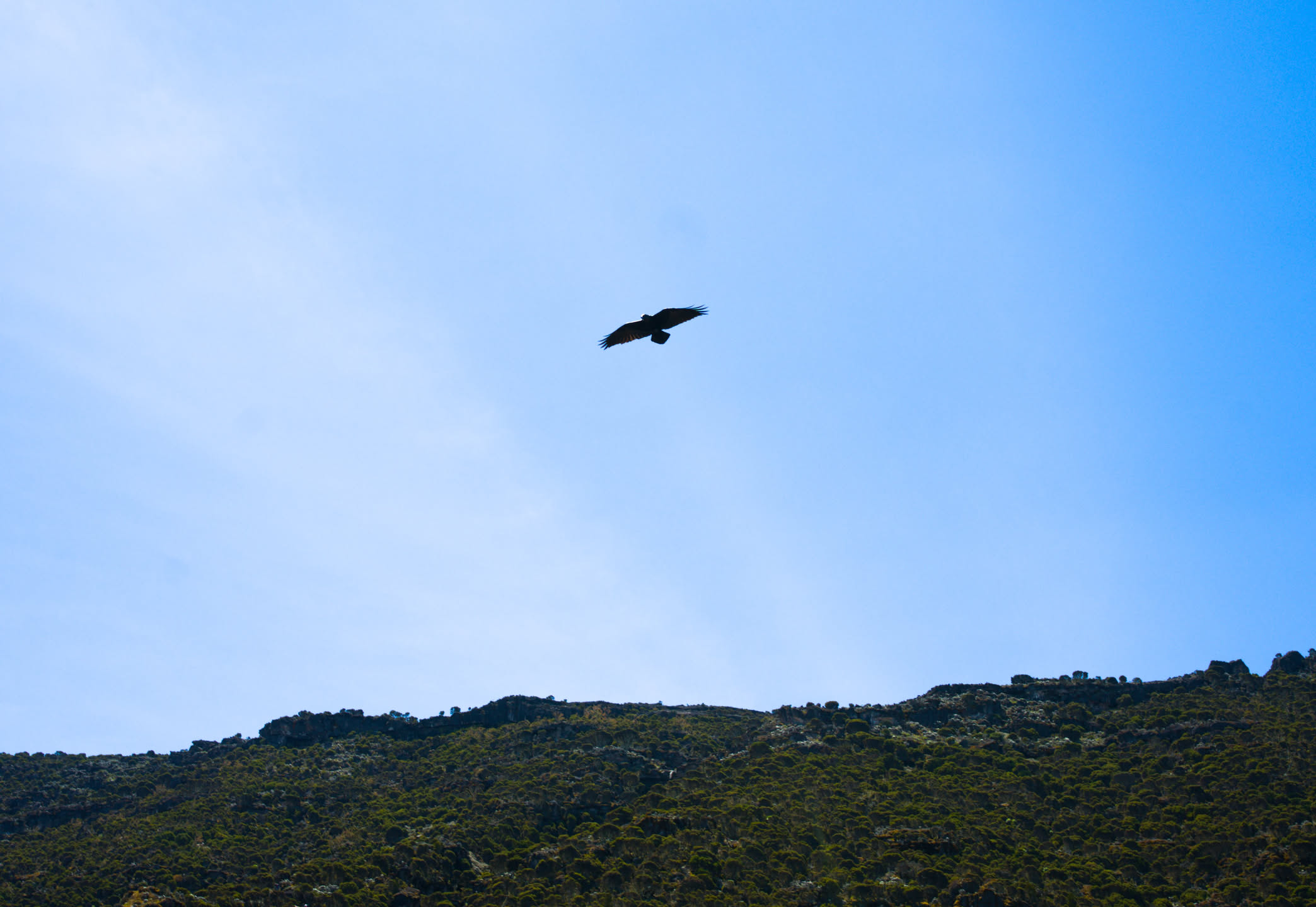 Kilimanjaro, photograph 11 of 45