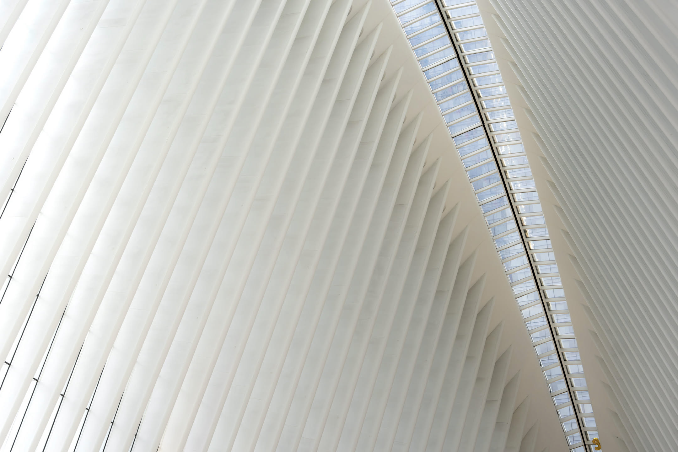 New York, photograph 61 of 115