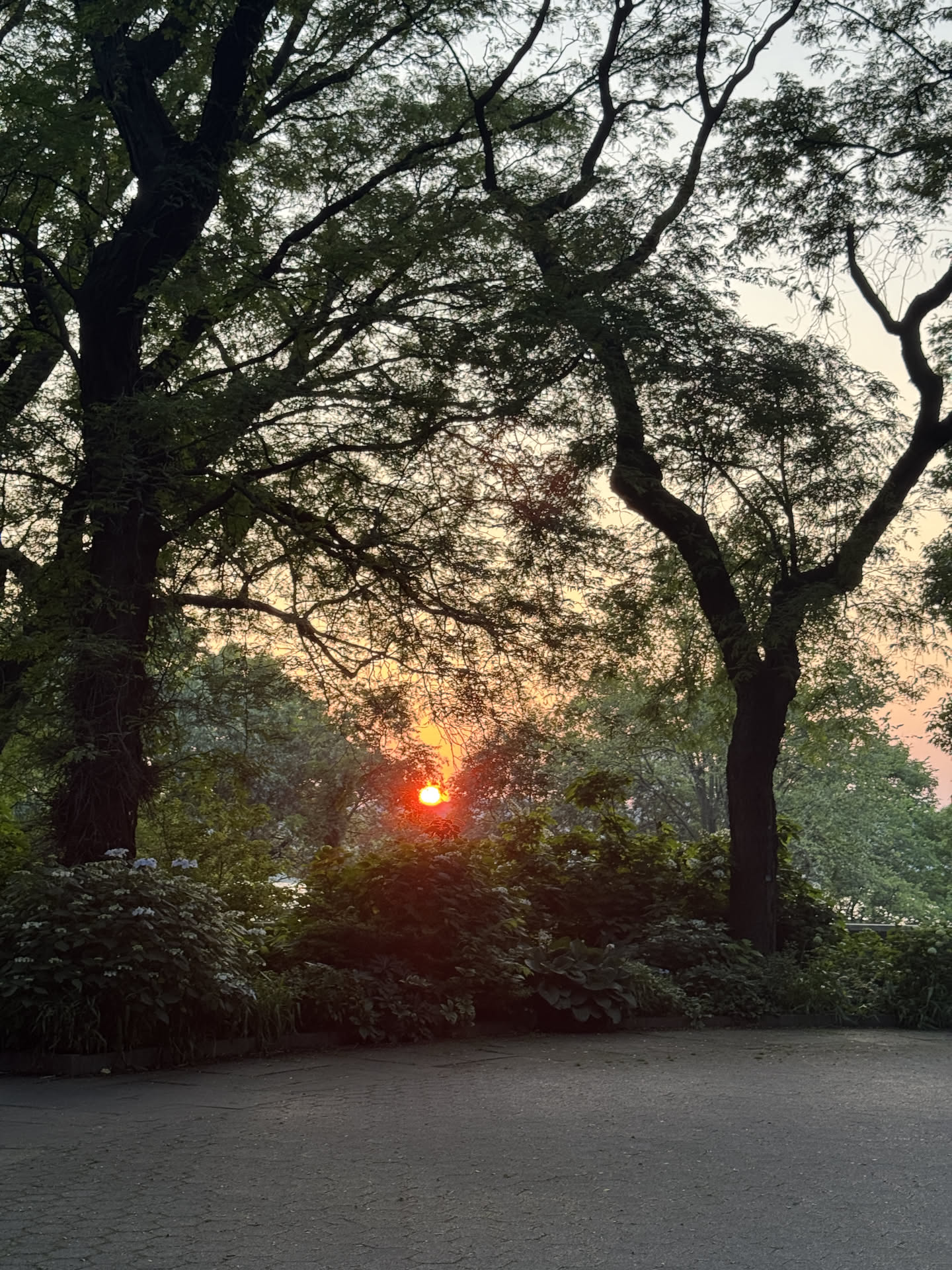 New York, photograph 89 of 115