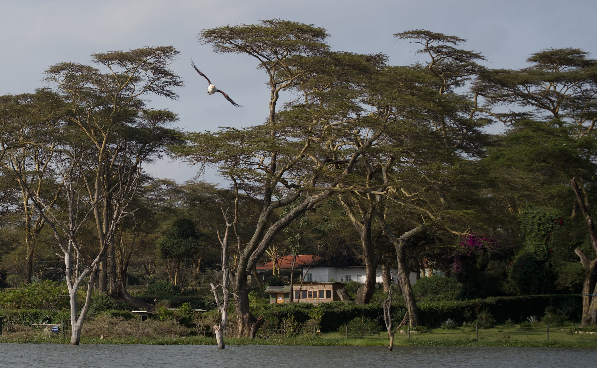 Masai Mara, photograph 3 of 187