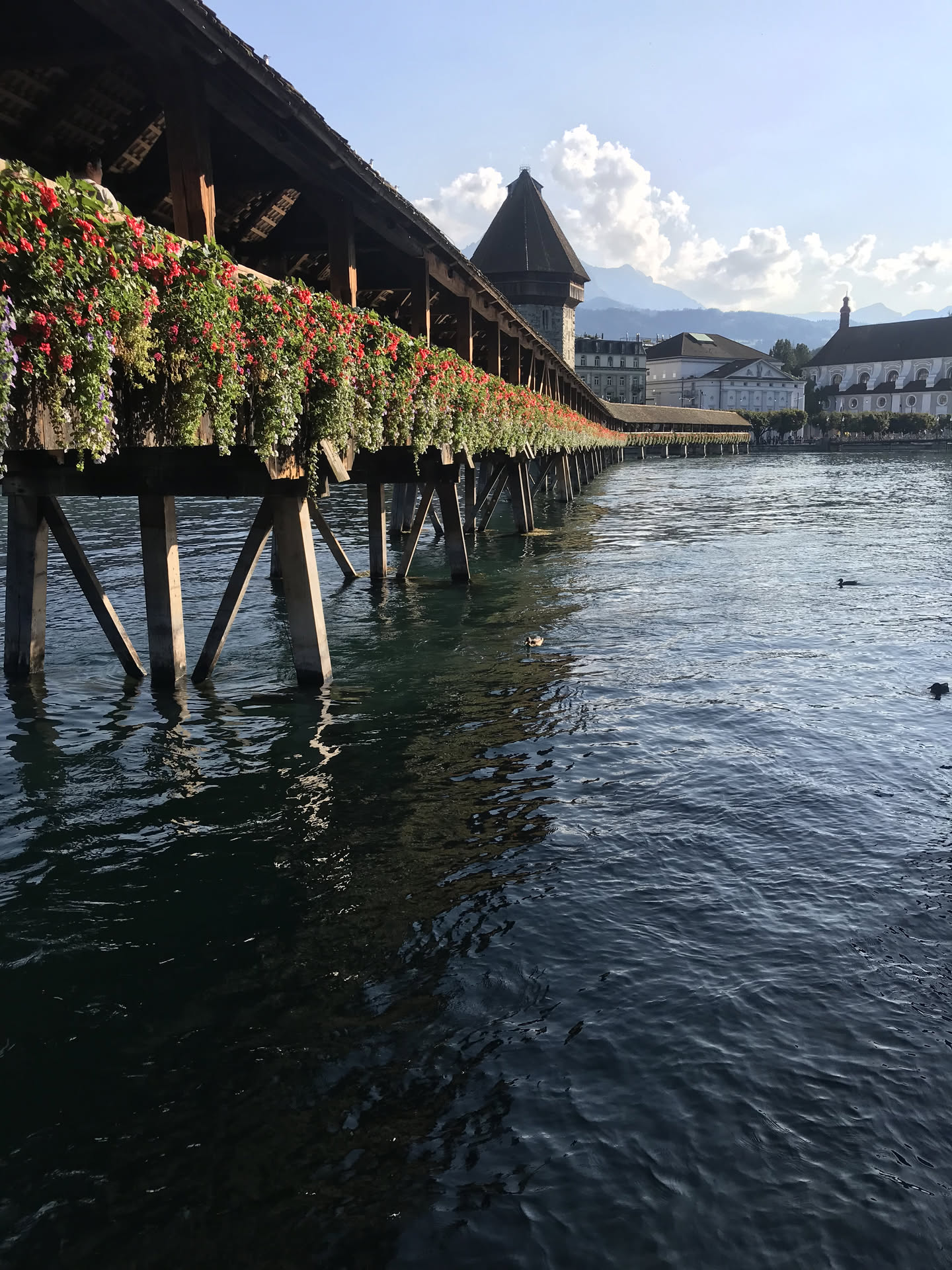 Switzerland, photograph 7 of 13