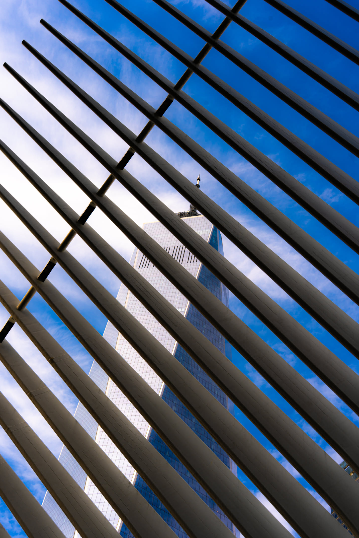 New York, photograph 63 of 115