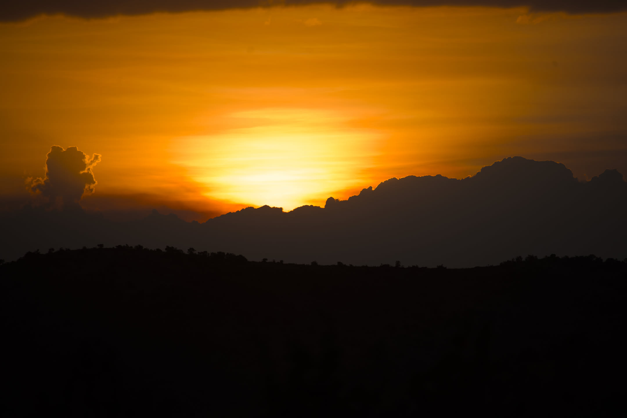 Masai Mara, photograph 161 of 187