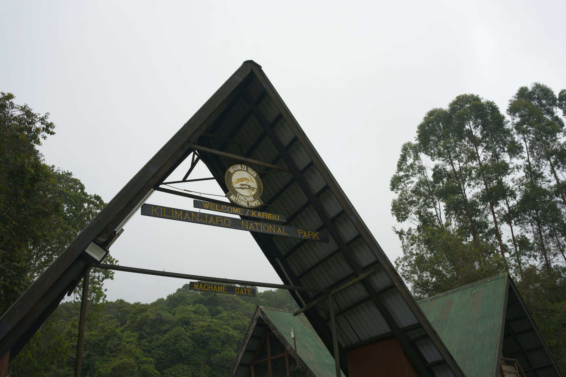 Kilimanjaro, photograph 39 of 45