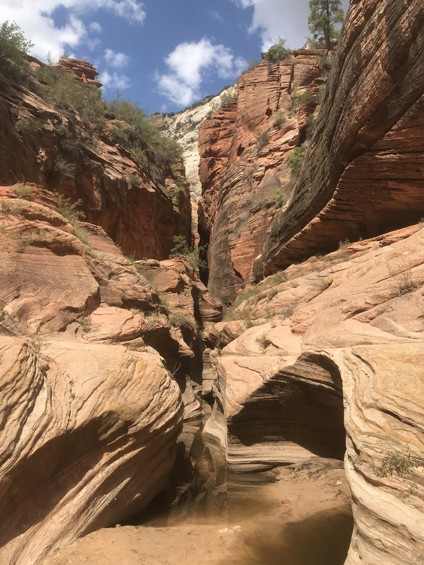 Utah, photograph 6 of 13