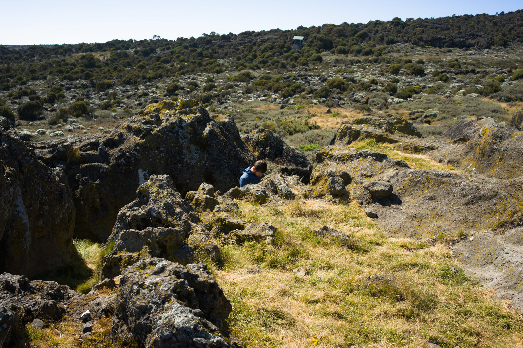Kilimanjaro, photograph 7 of 45
