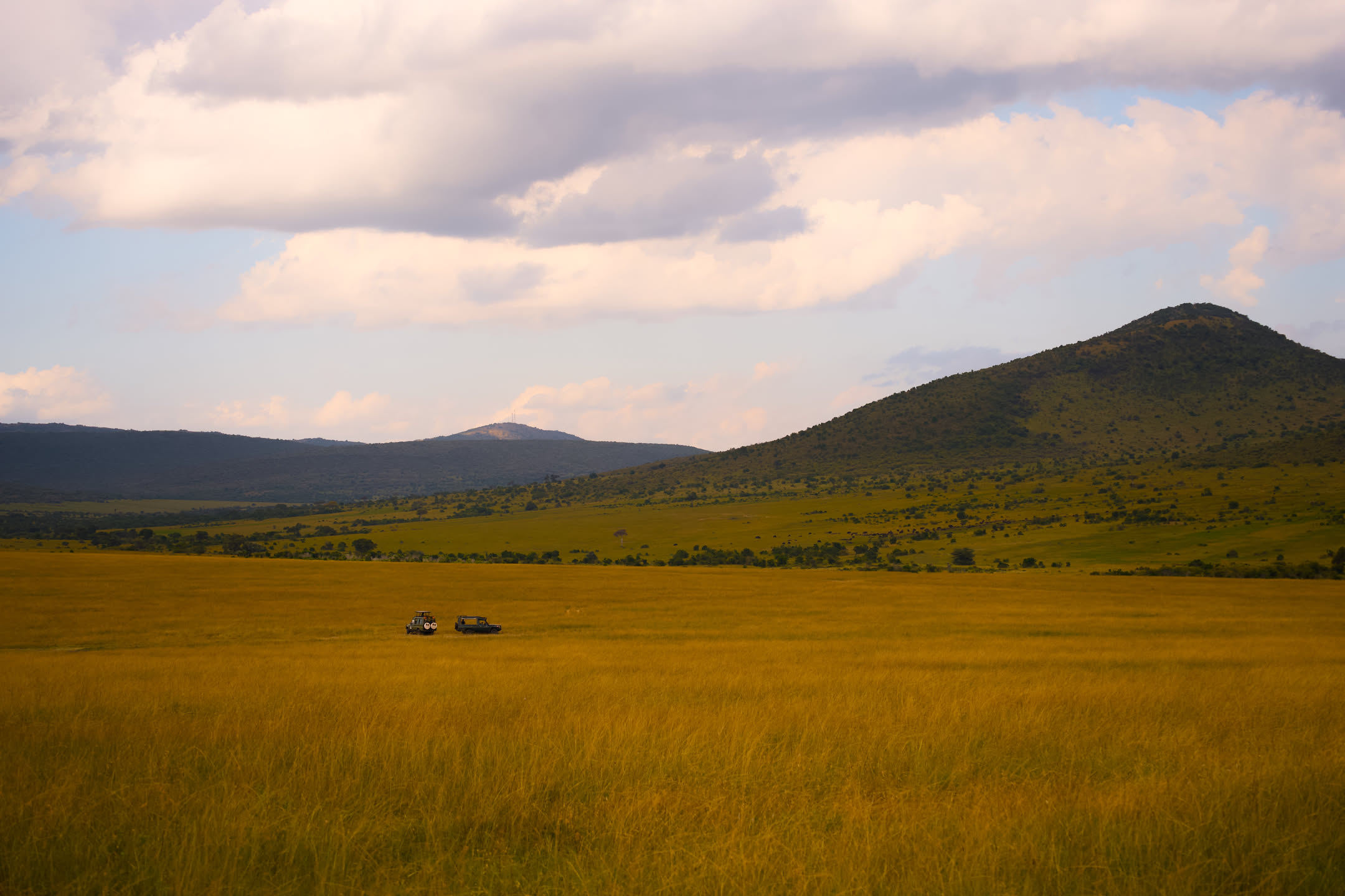 Masai Mara, photograph 1