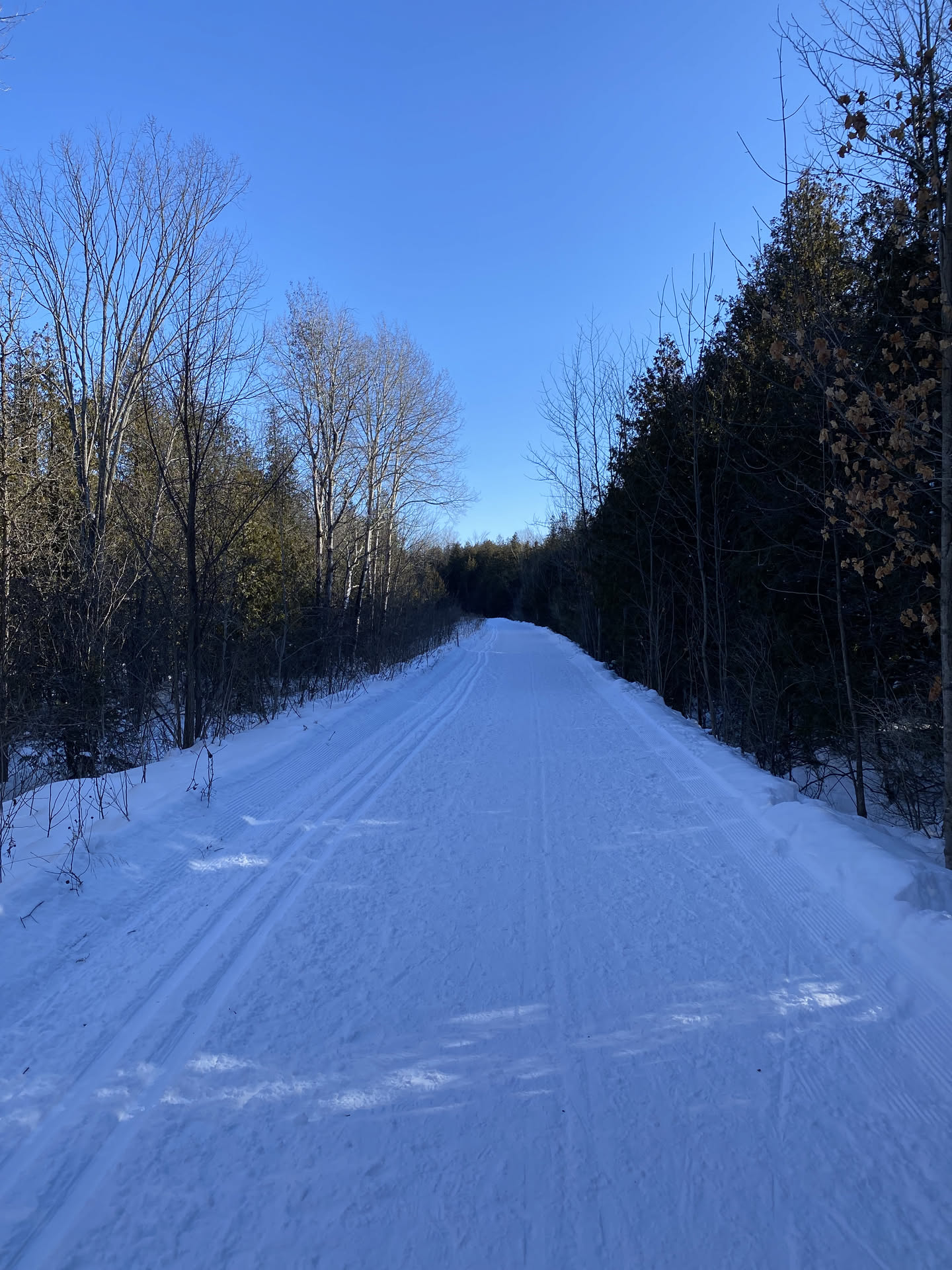 Canada, photograph 45 of 127