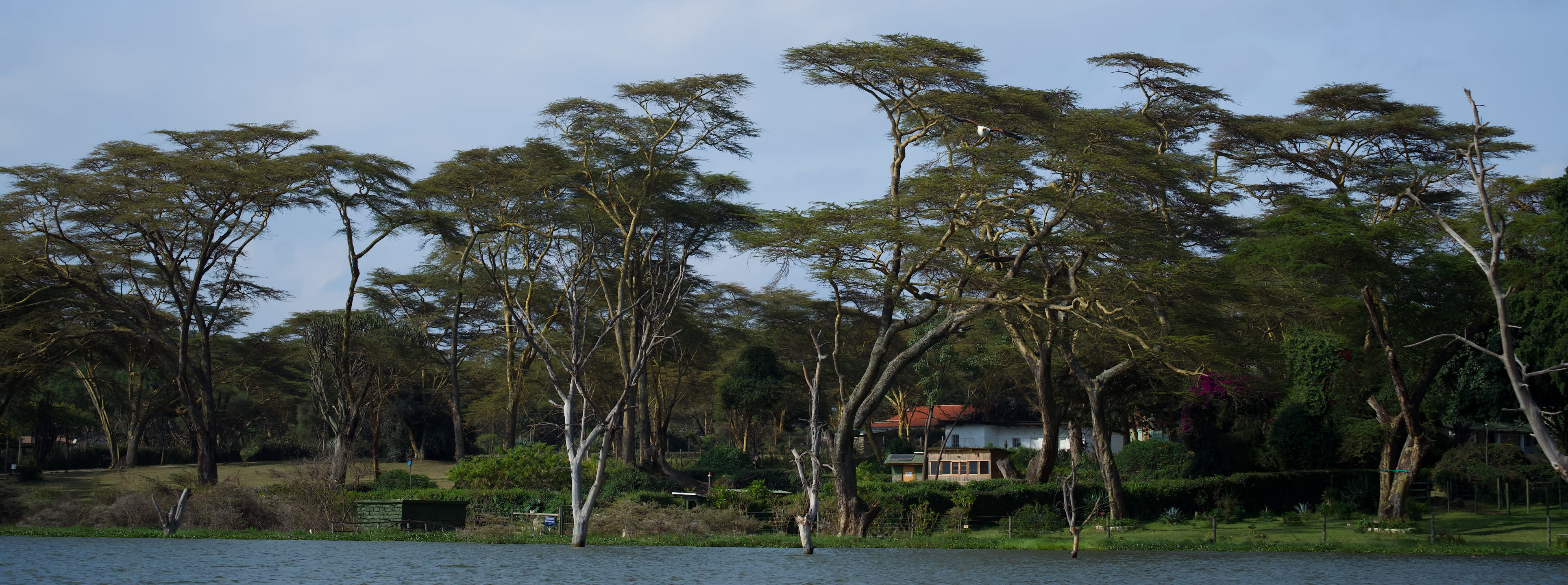 Masai Mara, photograph 4 of 187