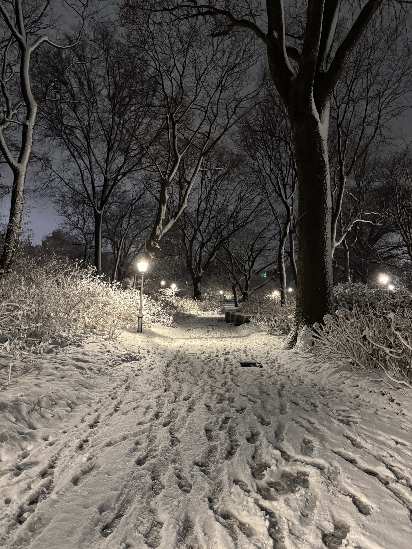 New York, photograph 96 of 115
