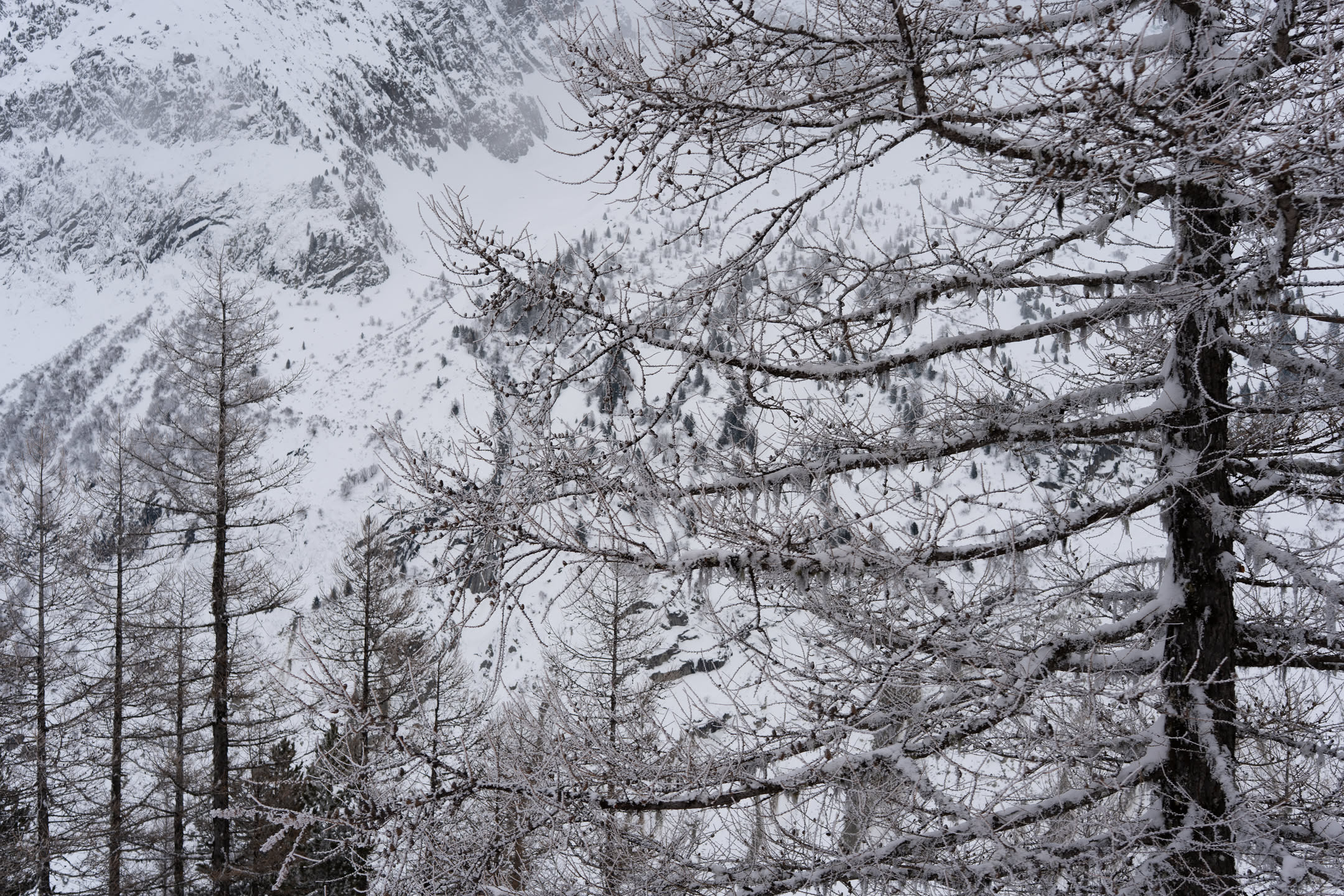 Chamonix & Mont Blanc, photograph 25 of 32