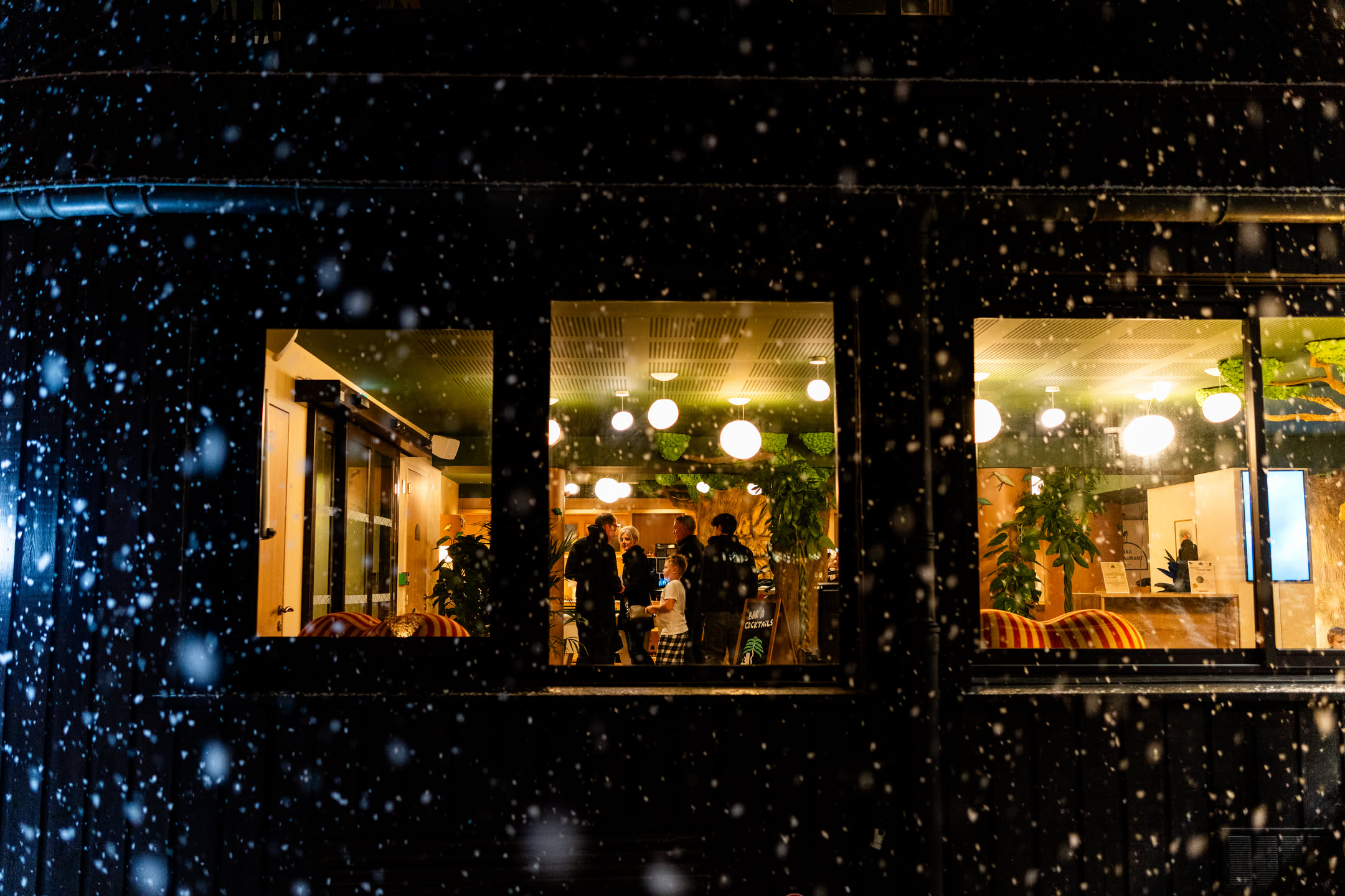 ca2dca42-2b34-4d88-96d0-167aee1f0aad